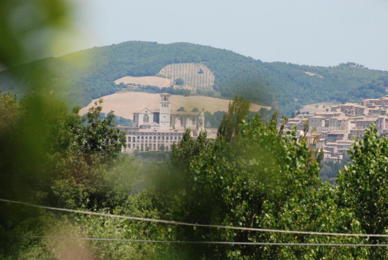 Agriturismo"Il Sagrato Di Assisi" Appartamenti,Camere Exterior foto