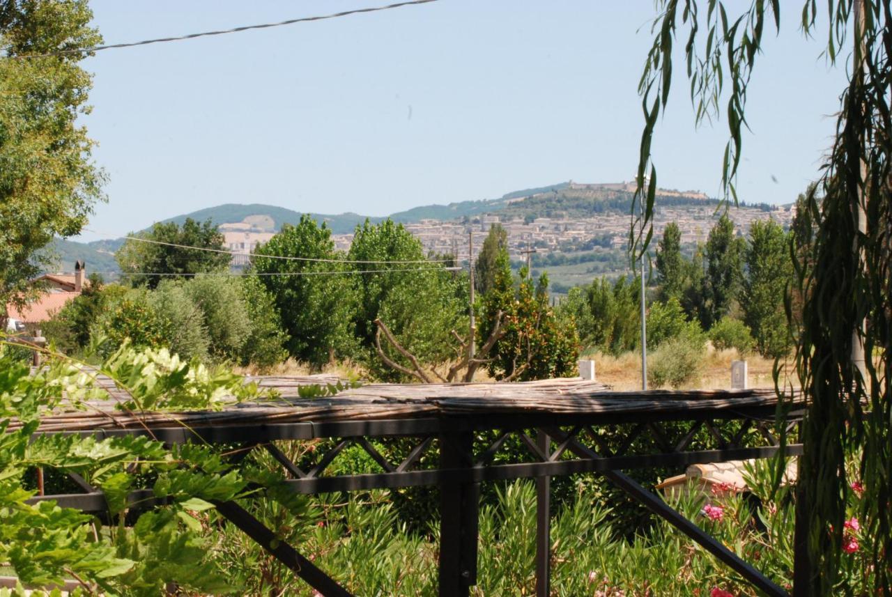 Agriturismo"Il Sagrato Di Assisi" Appartamenti,Camere Exterior foto