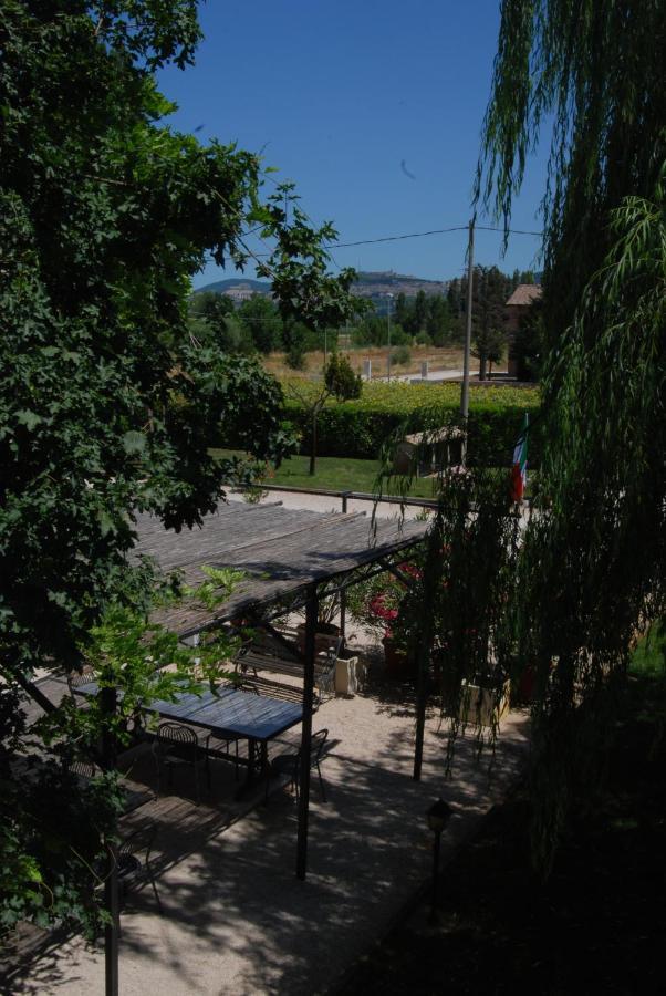 Agriturismo"Il Sagrato Di Assisi" Appartamenti,Camere Exterior foto