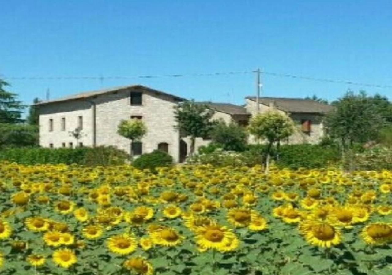 Agriturismo"Il Sagrato Di Assisi" Appartamenti,Camere Exterior foto